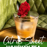 COCKTAILS NEW Power of Palate PINTEREST PIN TEMPLATES 2 1
