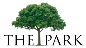 Tree logo v22 1 300x169
