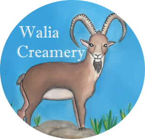 walia logo for google 300x288
